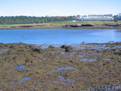 IMG_1812.jpg