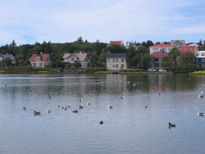 IMG_1841.jpg