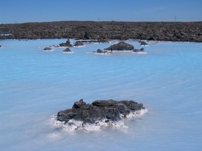 IMG_1852.jpg