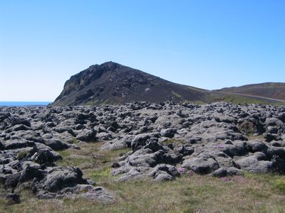 IMG_1856.jpg