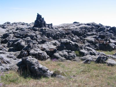 IMG_1857.jpg