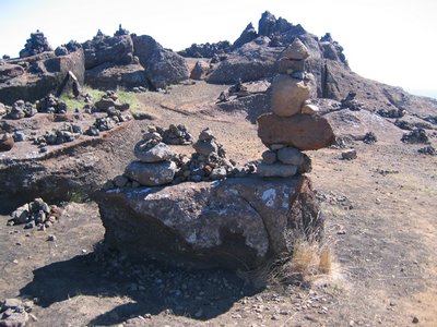 IMG_1859.jpg