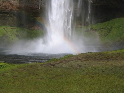 IMG_1871.jpg