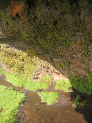 IMG_1874.jpg