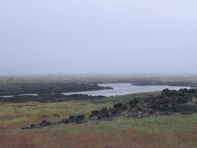 IMG_1882.jpg