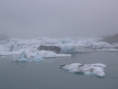 IMG_1885.jpg