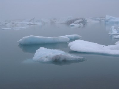 IMG_1887.jpg