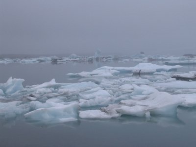 IMG_1888.jpg