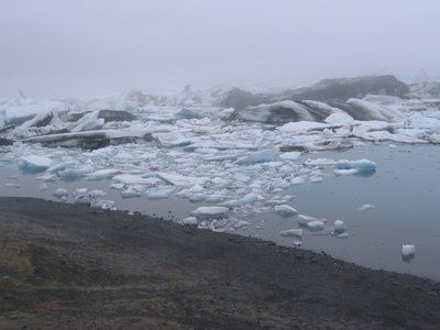 IMG_1890.jpg