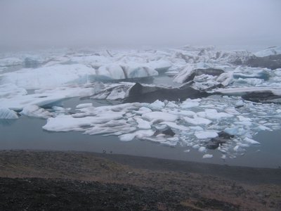 IMG_1896.jpg
