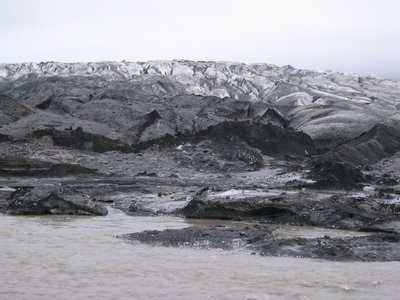 IMG_1898.jpg