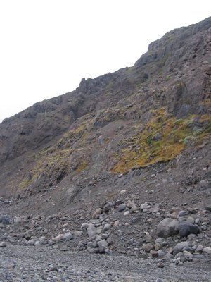 IMG_1900.jpg