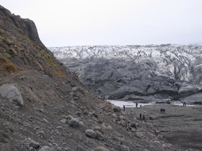 IMG_1902.jpg