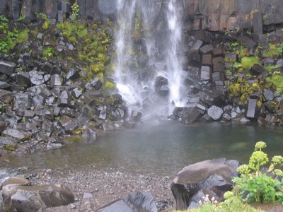 IMG_1908.jpg