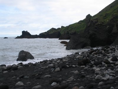 IMG_1919.jpg