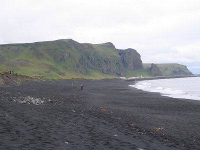 IMG_1920.jpg