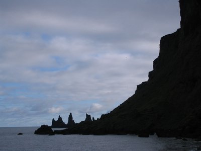 IMG_1923.jpg
