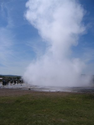 IMG_1929.jpg