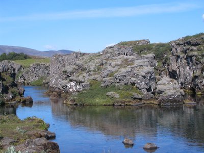 IMG_1950.jpg