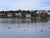 IMG_1841.jpg