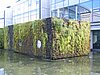 IMG_1847.jpg