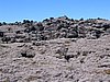 IMG_1855.jpg