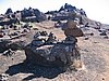 IMG_1859.jpg