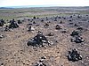 IMG_1860.jpg
