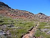 IMG_1865.jpg