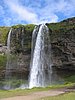 IMG_1868.jpg