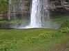 IMG_1869.jpg