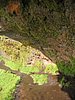 IMG_1874.jpg