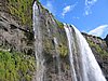 IMG_1875.jpg