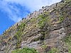 IMG_1878.jpg