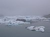 IMG_1885.jpg
