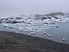IMG_1890.jpg