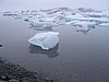 IMG_1892.jpg