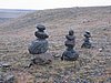 IMG_1894.jpg