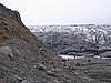 IMG_1902.jpg