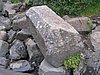 IMG_1907.jpg