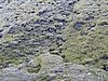 IMG_1912.jpg