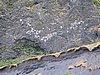 IMG_1917.jpg