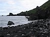 IMG_1919.jpg