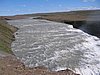 IMG_1941.jpg