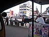 IMG_2097.jpg