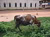IMG_2107.jpg