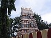 IMG_2116.jpg