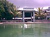 IMG_2123.jpg