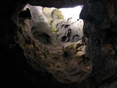 IMG_1671.jpg