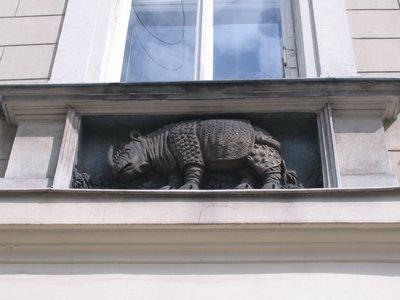 IMG_1676.jpg